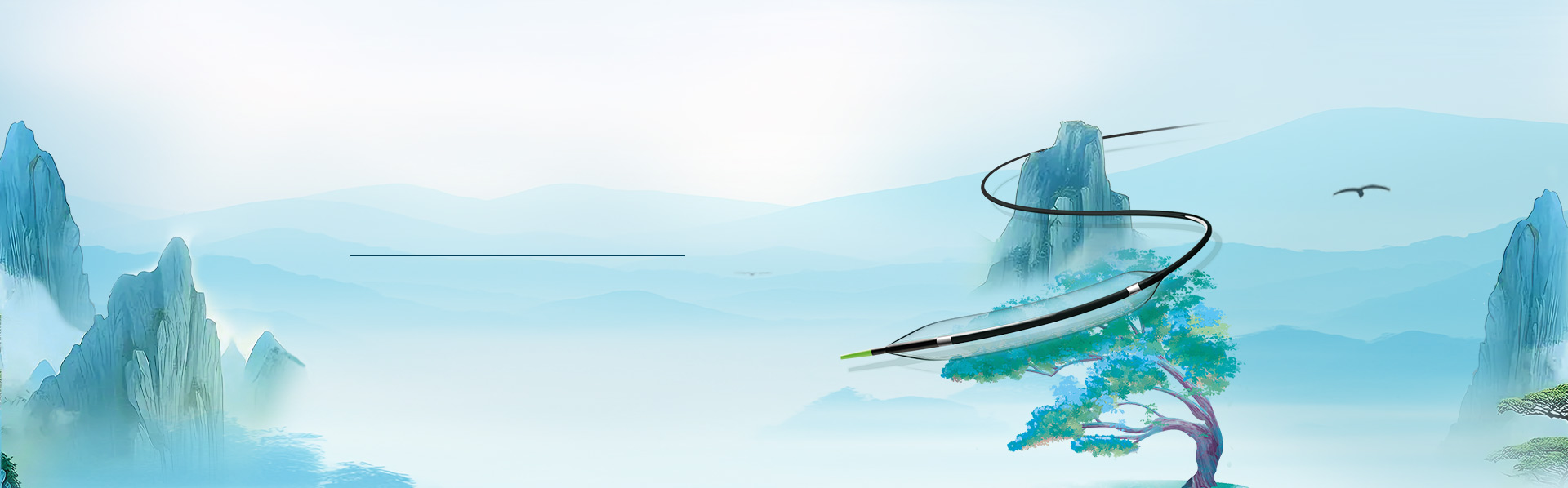 外周球囊擴(kuò)張導(dǎo)管