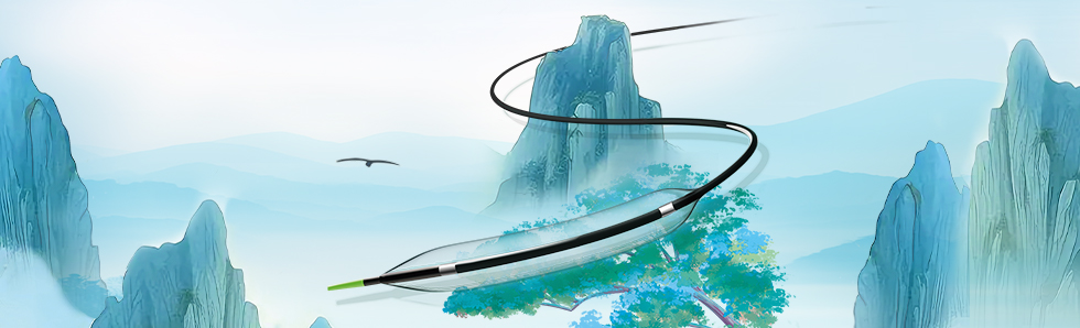 祿游?Luvjour 外周球囊擴(kuò)張導(dǎo)管(圖1)